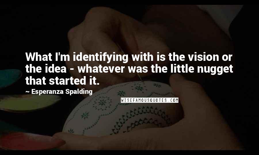 Esperanza Spalding Quotes: What I'm identifying with is the vision or the idea - whatever was the little nugget that started it.