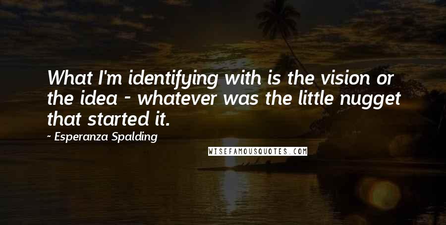 Esperanza Spalding Quotes: What I'm identifying with is the vision or the idea - whatever was the little nugget that started it.