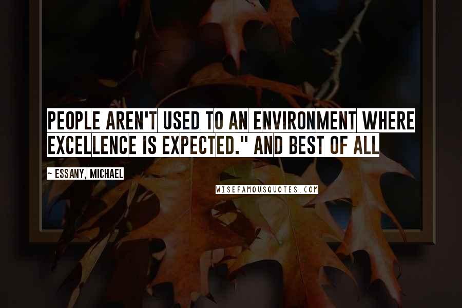 Essany, Michael Quotes: people aren't used to an environment where excellence is expected." And best of all