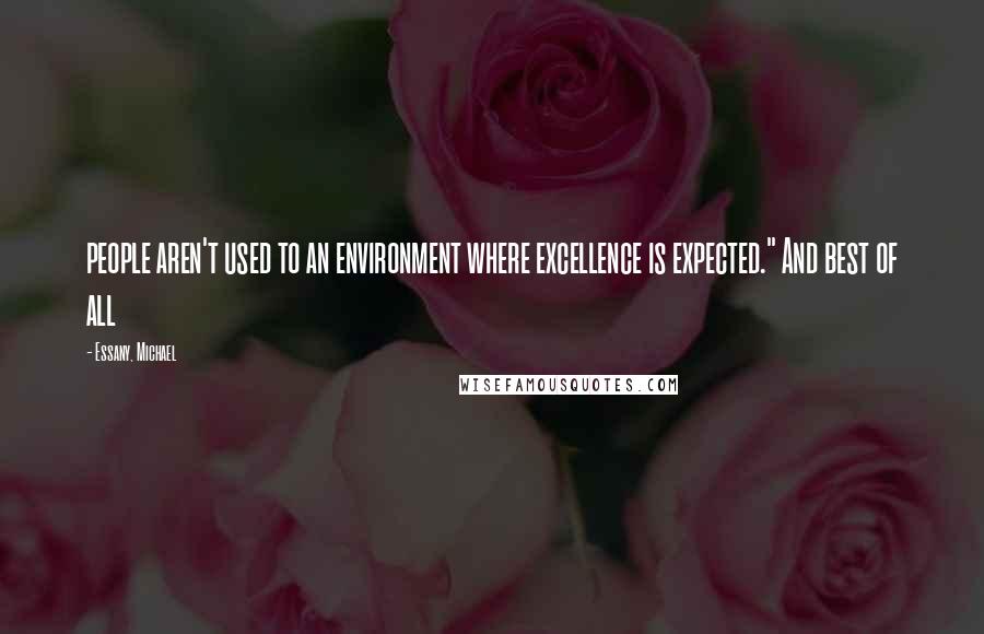 Essany, Michael Quotes: people aren't used to an environment where excellence is expected." And best of all