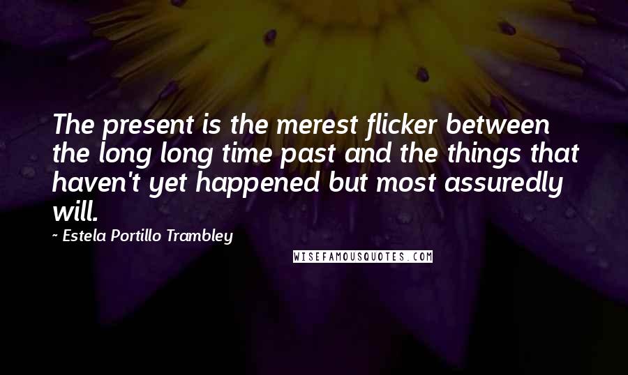 Estela Portillo Trambley Quotes: The present is the merest flicker between the long long time past and the things that haven't yet happened but most assuredly will.