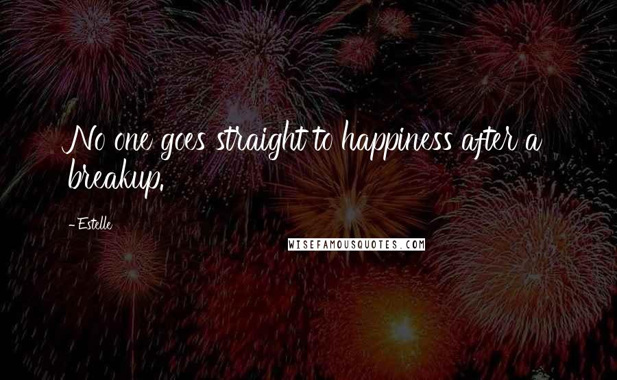 Estelle Quotes: No one goes straight to happiness after a breakup.