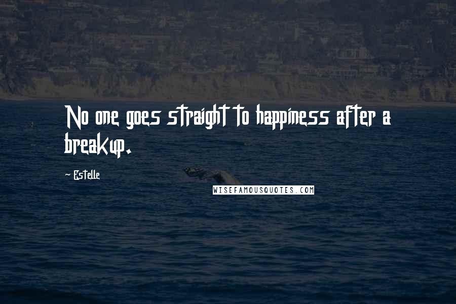 Estelle Quotes: No one goes straight to happiness after a breakup.