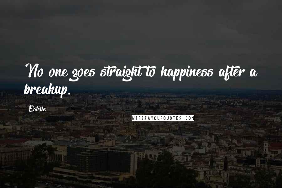 Estelle Quotes: No one goes straight to happiness after a breakup.