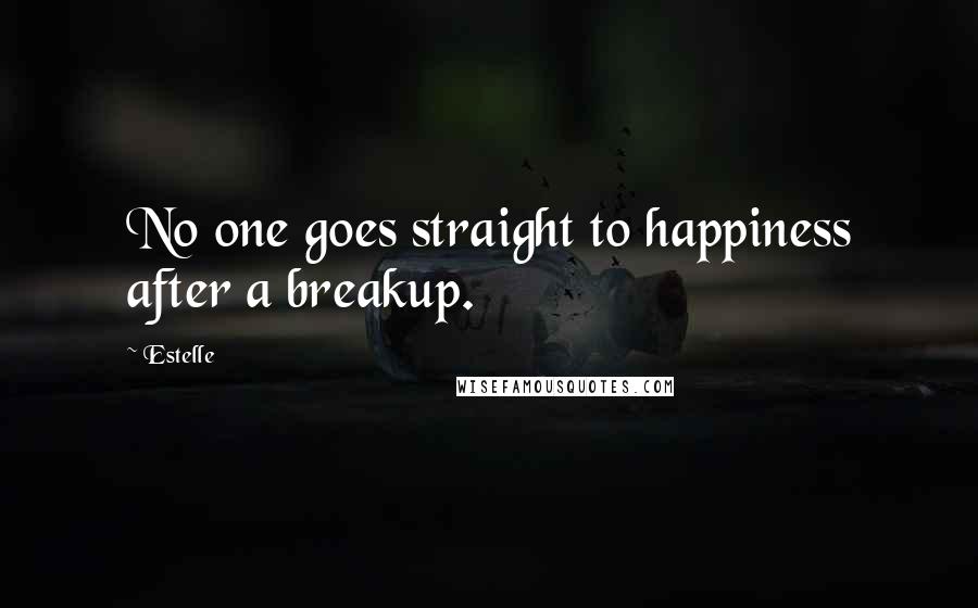 Estelle Quotes: No one goes straight to happiness after a breakup.