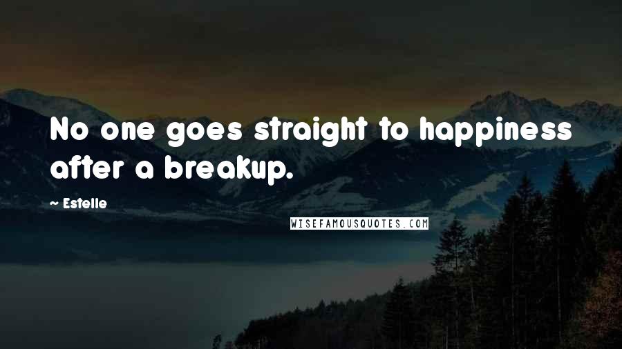 Estelle Quotes: No one goes straight to happiness after a breakup.