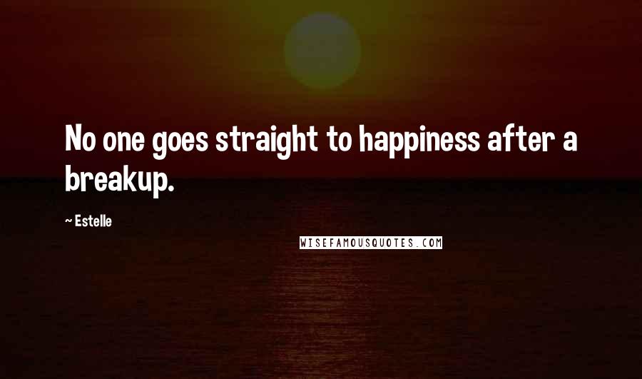 Estelle Quotes: No one goes straight to happiness after a breakup.