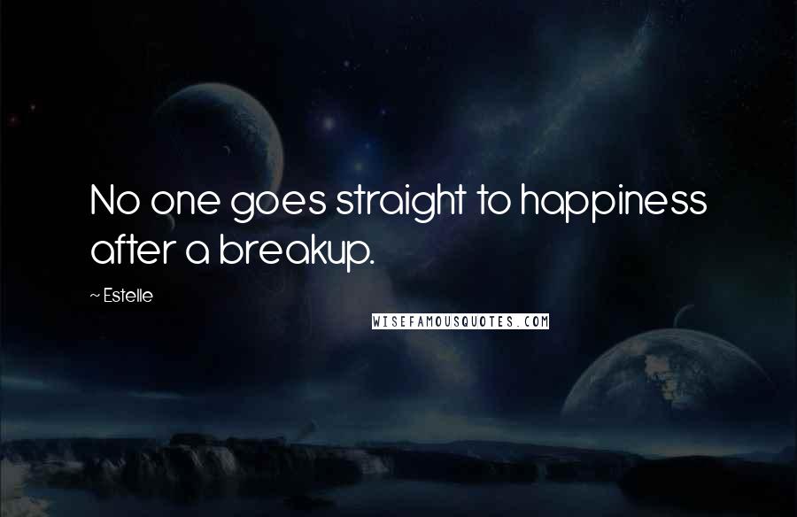 Estelle Quotes: No one goes straight to happiness after a breakup.