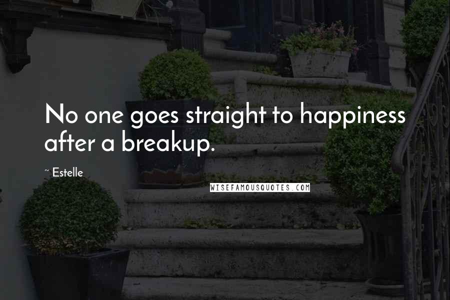 Estelle Quotes: No one goes straight to happiness after a breakup.