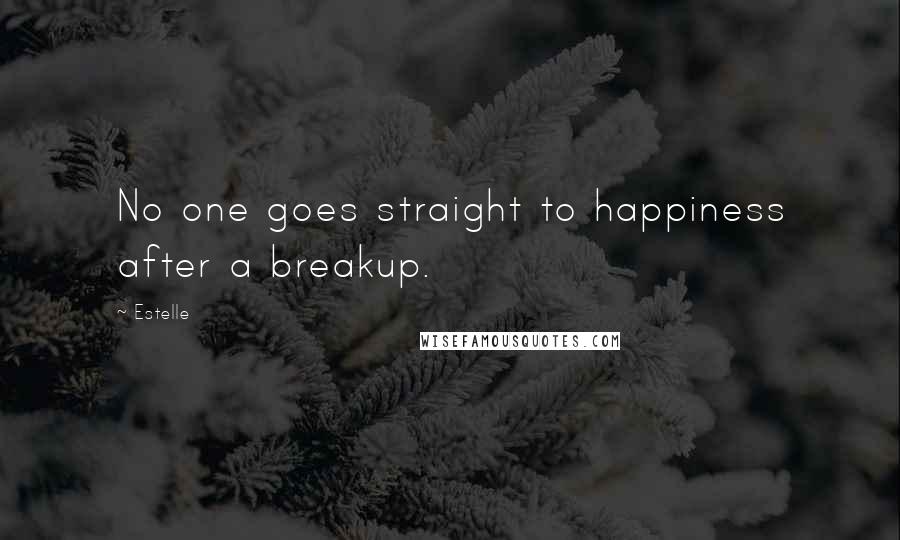 Estelle Quotes: No one goes straight to happiness after a breakup.