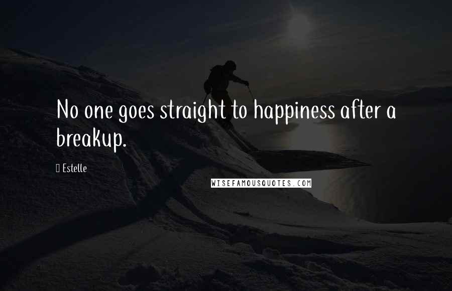 Estelle Quotes: No one goes straight to happiness after a breakup.