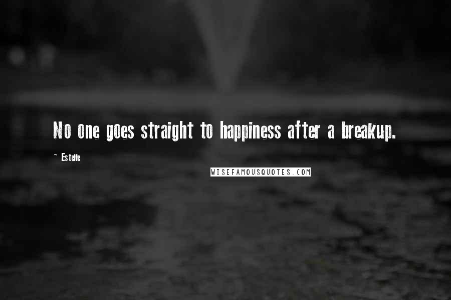 Estelle Quotes: No one goes straight to happiness after a breakup.