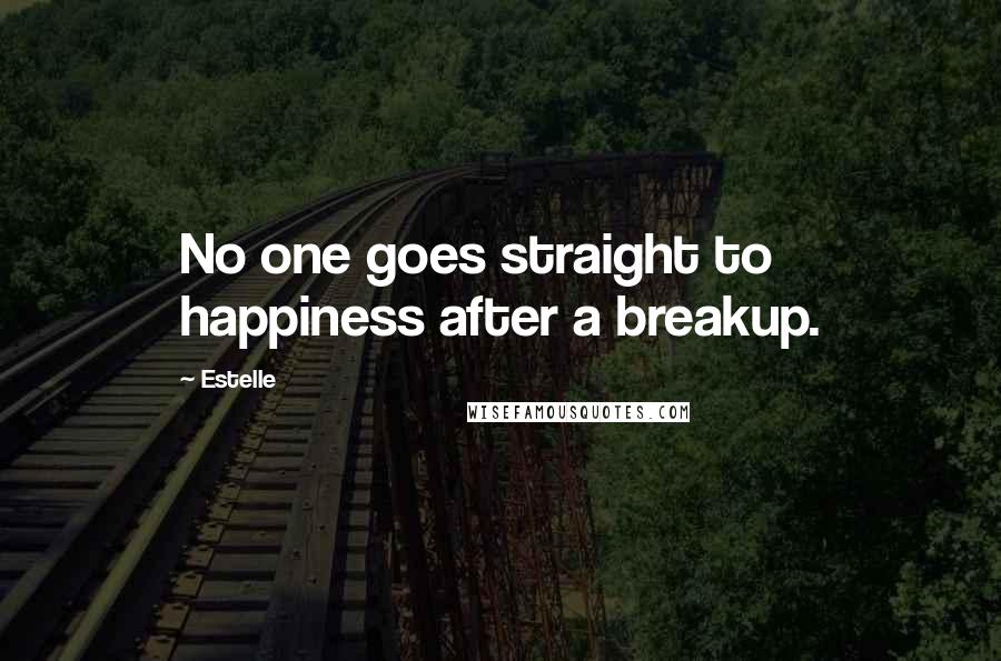 Estelle Quotes: No one goes straight to happiness after a breakup.