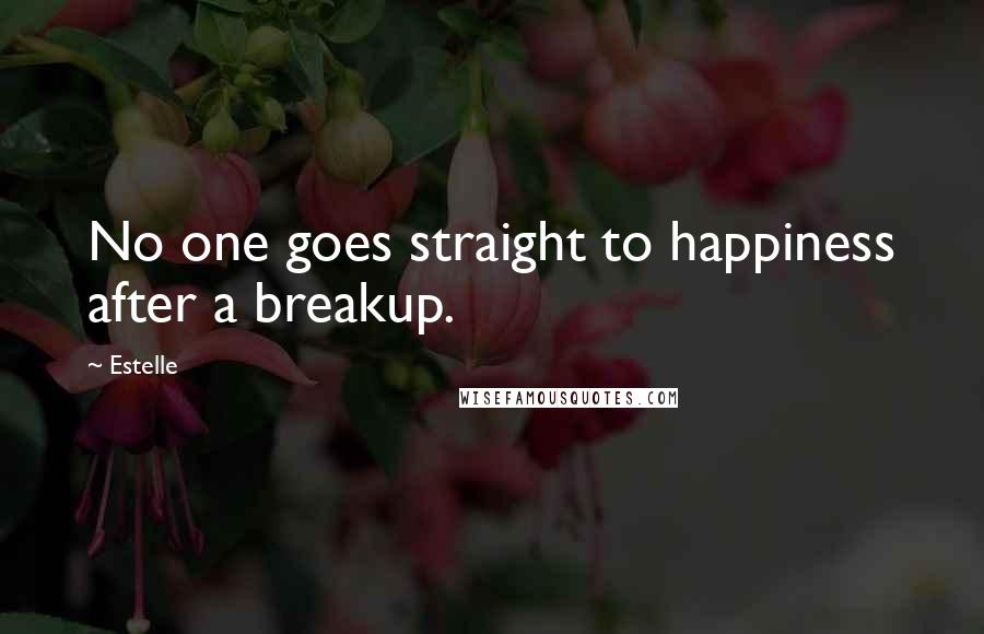 Estelle Quotes: No one goes straight to happiness after a breakup.