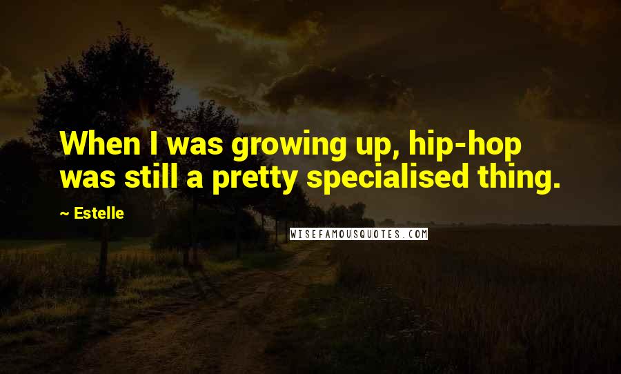 Estelle Quotes: When I was growing up, hip-hop was still a pretty specialised thing.