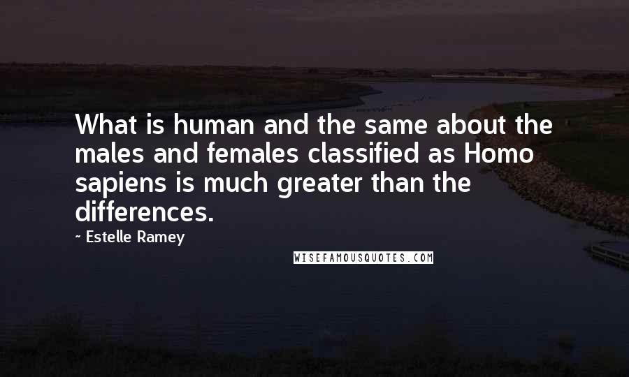 Estelle Ramey Quotes: What is human and the same about the males and females classified as Homo sapiens is much greater than the differences.