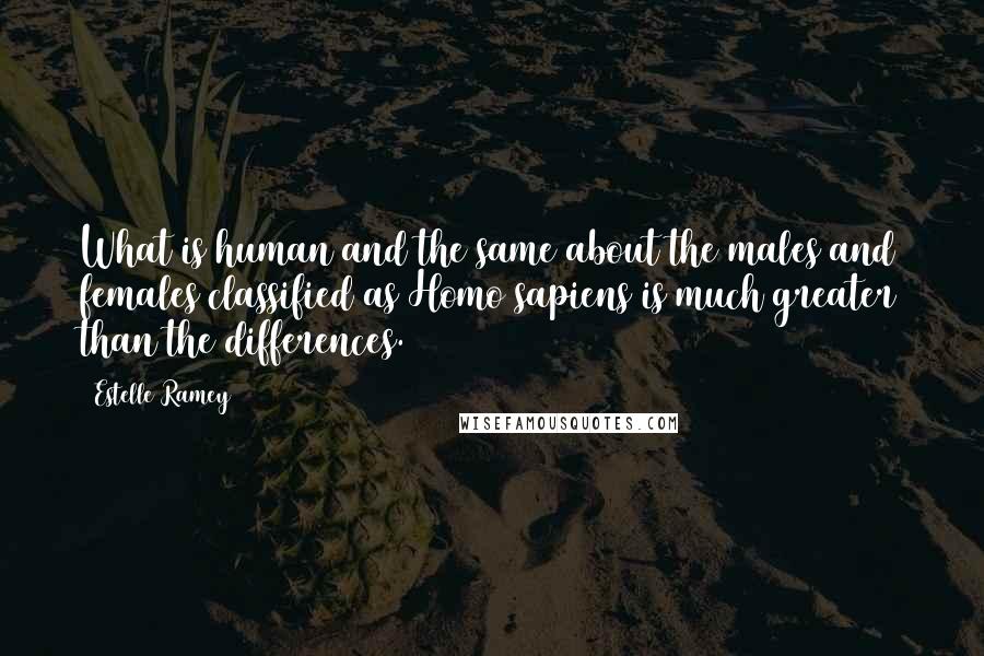 Estelle Ramey Quotes: What is human and the same about the males and females classified as Homo sapiens is much greater than the differences.