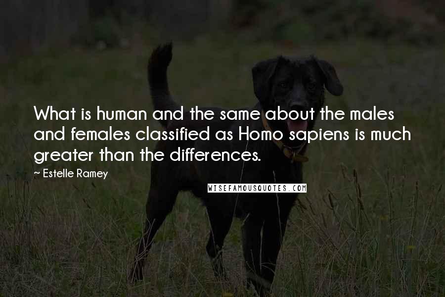 Estelle Ramey Quotes: What is human and the same about the males and females classified as Homo sapiens is much greater than the differences.