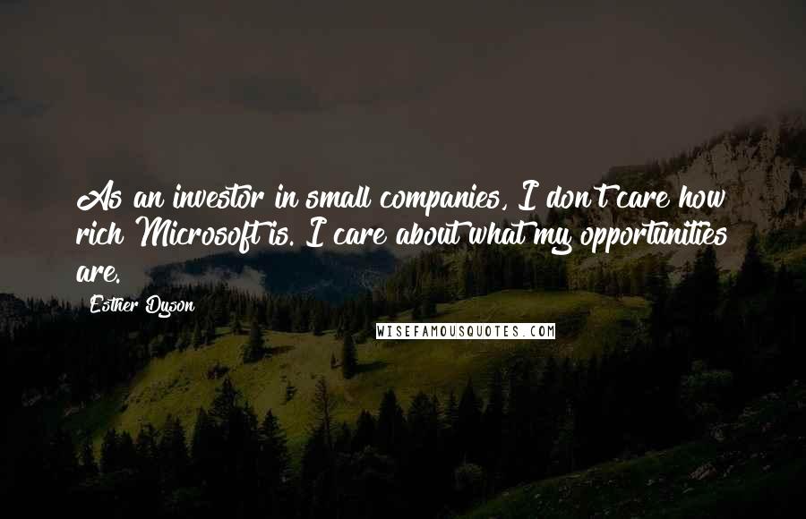Esther Dyson Quotes: As an investor in small companies, I don't care how rich Microsoft is. I care about what my opportunities are.