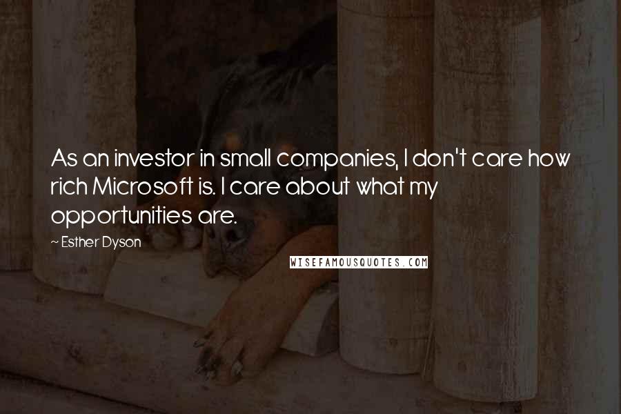 Esther Dyson Quotes: As an investor in small companies, I don't care how rich Microsoft is. I care about what my opportunities are.