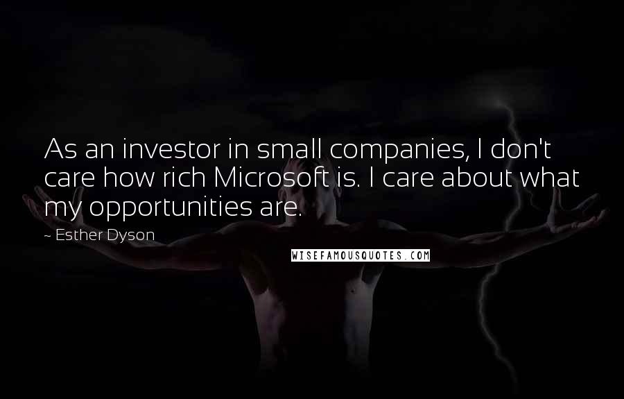 Esther Dyson Quotes: As an investor in small companies, I don't care how rich Microsoft is. I care about what my opportunities are.