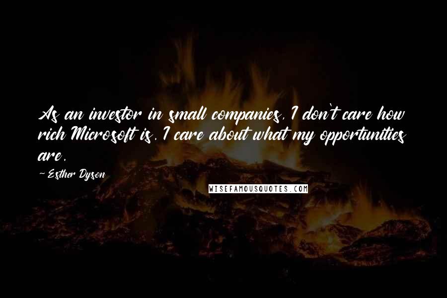 Esther Dyson Quotes: As an investor in small companies, I don't care how rich Microsoft is. I care about what my opportunities are.