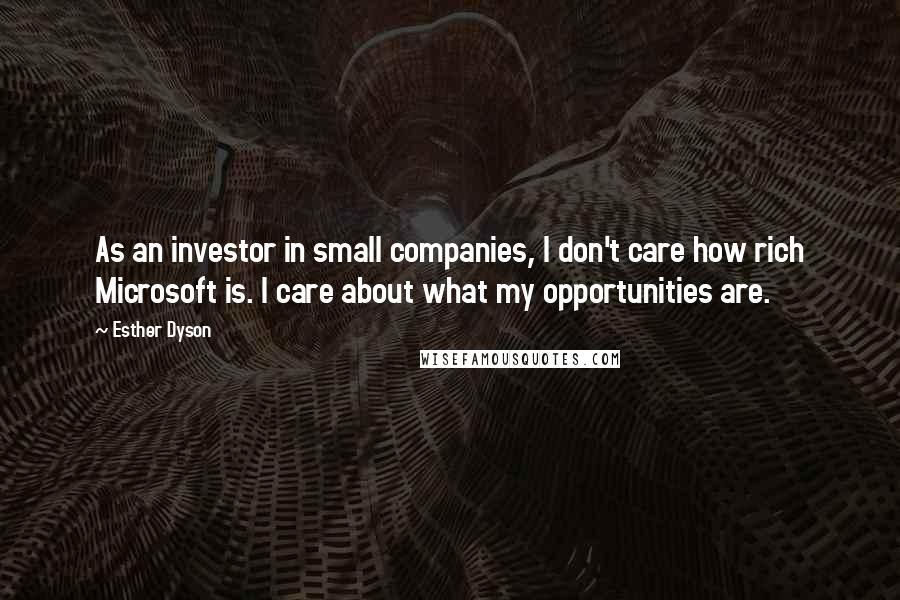 Esther Dyson Quotes: As an investor in small companies, I don't care how rich Microsoft is. I care about what my opportunities are.