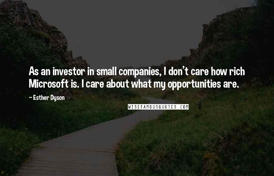 Esther Dyson Quotes: As an investor in small companies, I don't care how rich Microsoft is. I care about what my opportunities are.