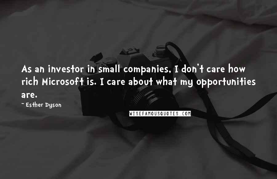 Esther Dyson Quotes: As an investor in small companies, I don't care how rich Microsoft is. I care about what my opportunities are.