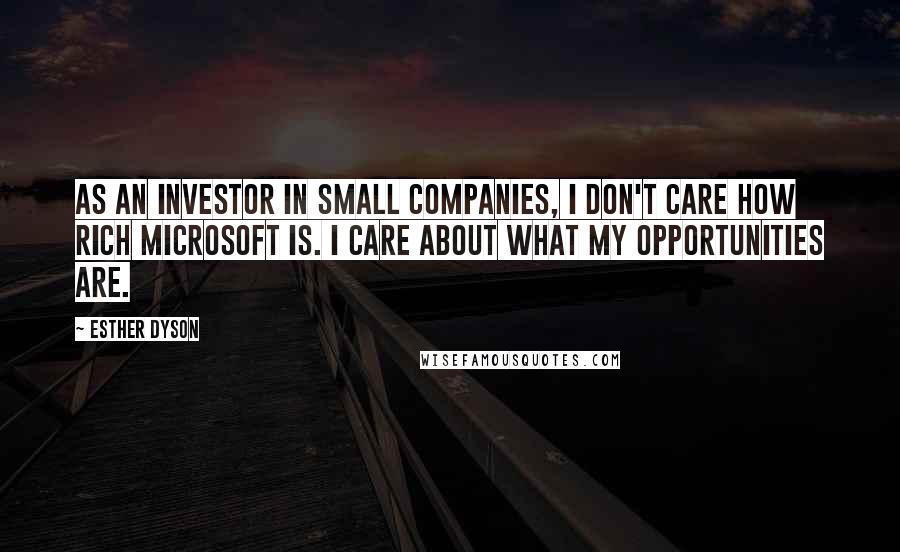 Esther Dyson Quotes: As an investor in small companies, I don't care how rich Microsoft is. I care about what my opportunities are.