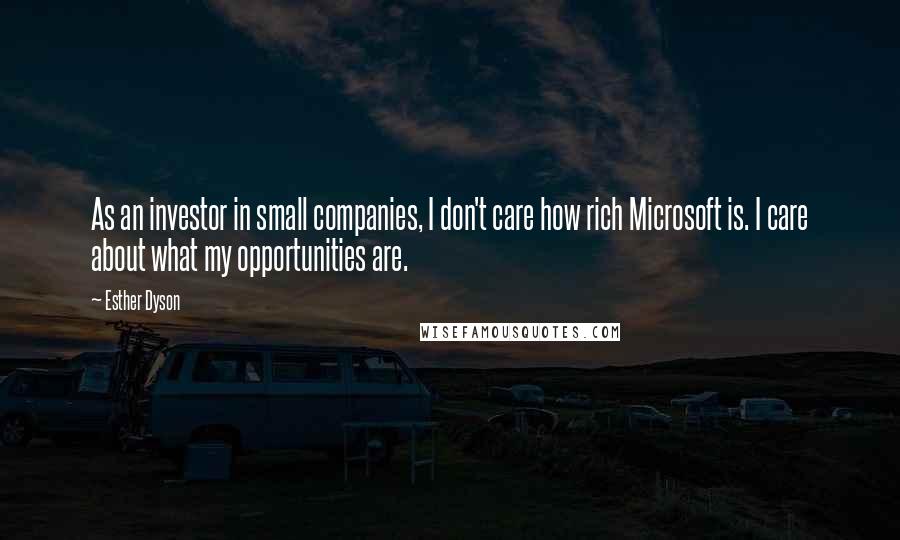 Esther Dyson Quotes: As an investor in small companies, I don't care how rich Microsoft is. I care about what my opportunities are.