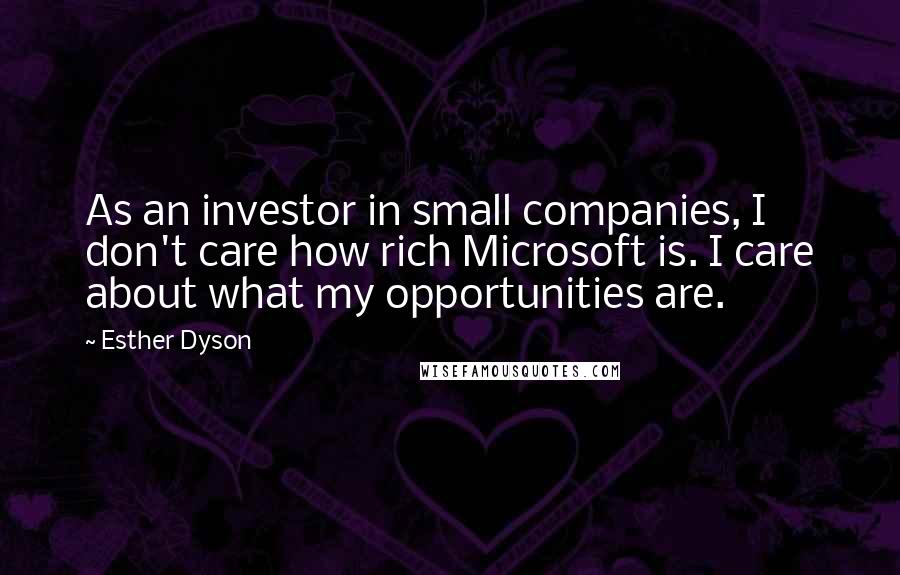 Esther Dyson Quotes: As an investor in small companies, I don't care how rich Microsoft is. I care about what my opportunities are.