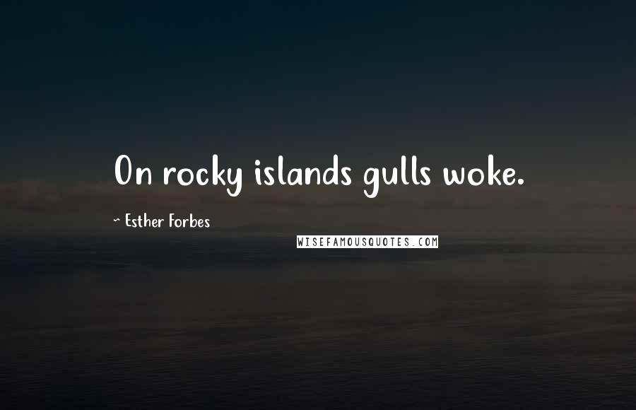 Esther Forbes Quotes: On rocky islands gulls woke.