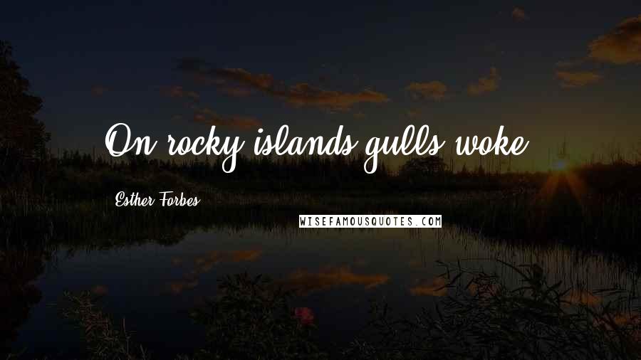 Esther Forbes Quotes: On rocky islands gulls woke.