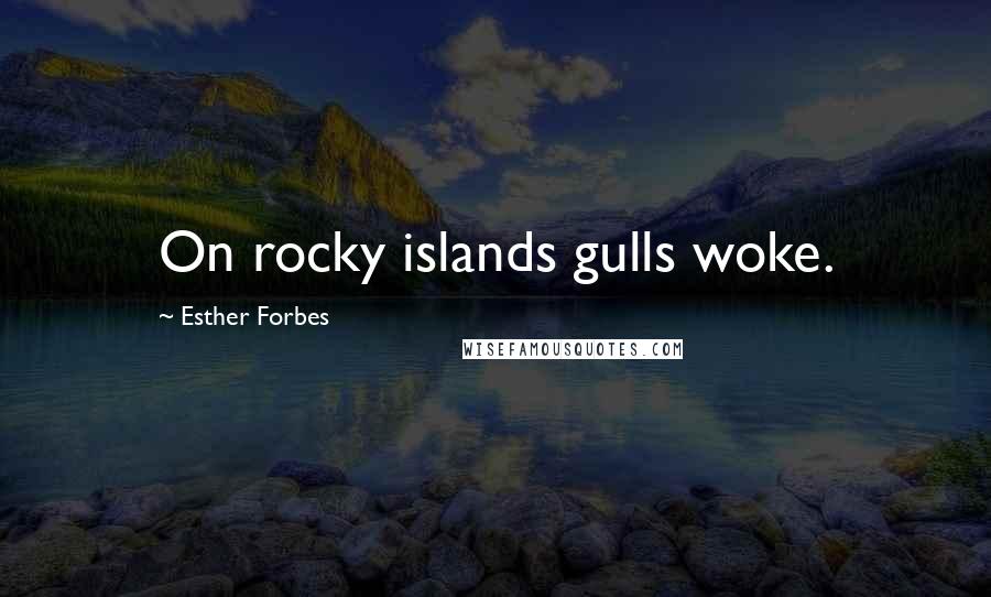 Esther Forbes Quotes: On rocky islands gulls woke.