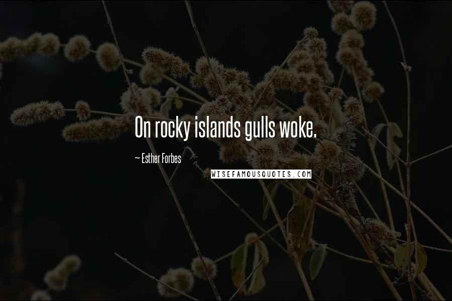 Esther Forbes Quotes: On rocky islands gulls woke.