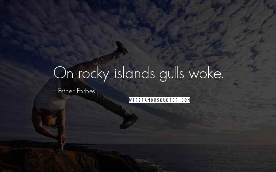 Esther Forbes Quotes: On rocky islands gulls woke.