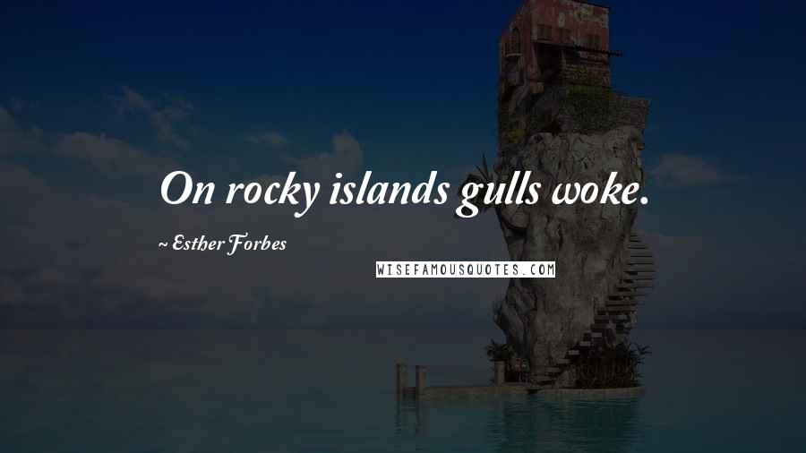 Esther Forbes Quotes: On rocky islands gulls woke.