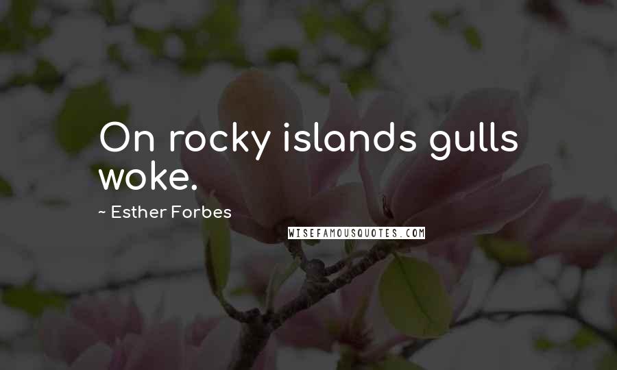 Esther Forbes Quotes: On rocky islands gulls woke.