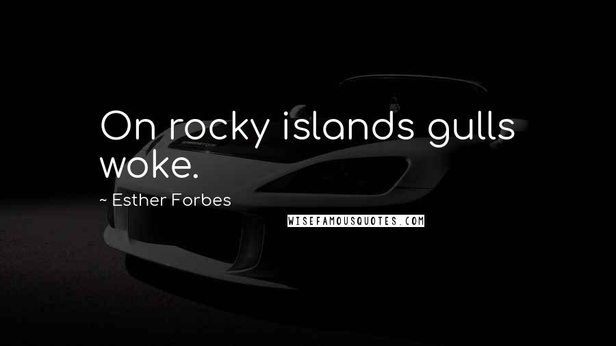 Esther Forbes Quotes: On rocky islands gulls woke.