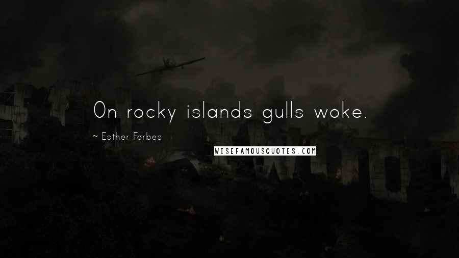 Esther Forbes Quotes: On rocky islands gulls woke.