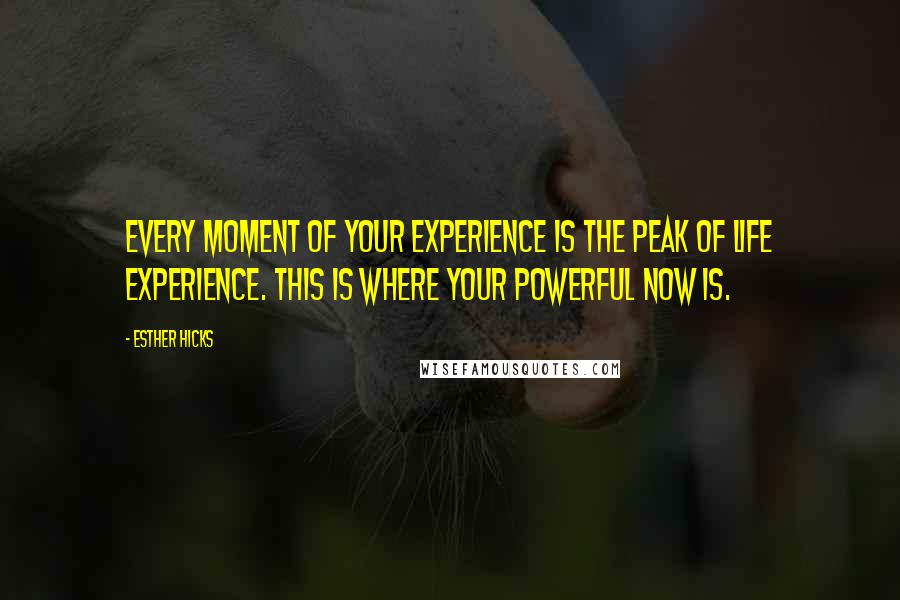 Esther Hicks Quotes: Every moment of your experience is the peak of life experience. This is where your powerful now is.