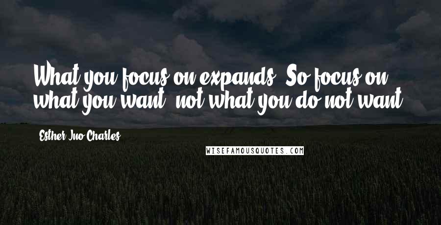 Esther Jno-Charles Quotes: What you focus on expands. So focus on what you want, not what you do not want.