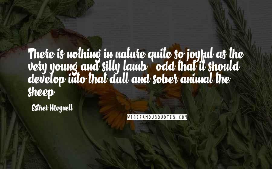 Esther Meynell Quotes: There is nothing in nature quite so joyful as the very young and silly lamb - odd that it should develop into that dull and sober animal the sheep.