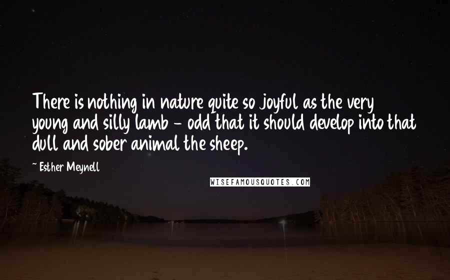 Esther Meynell Quotes: There is nothing in nature quite so joyful as the very young and silly lamb - odd that it should develop into that dull and sober animal the sheep.