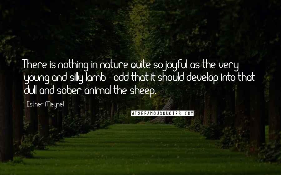 Esther Meynell Quotes: There is nothing in nature quite so joyful as the very young and silly lamb - odd that it should develop into that dull and sober animal the sheep.