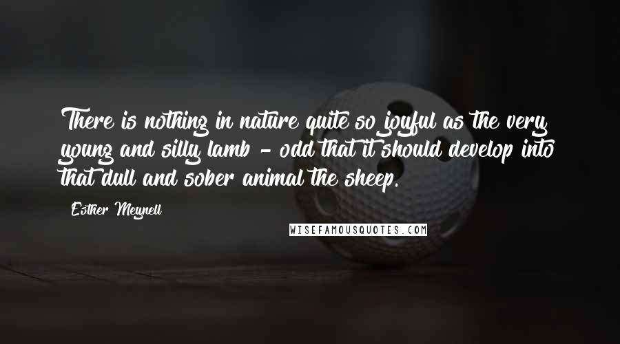 Esther Meynell Quotes: There is nothing in nature quite so joyful as the very young and silly lamb - odd that it should develop into that dull and sober animal the sheep.