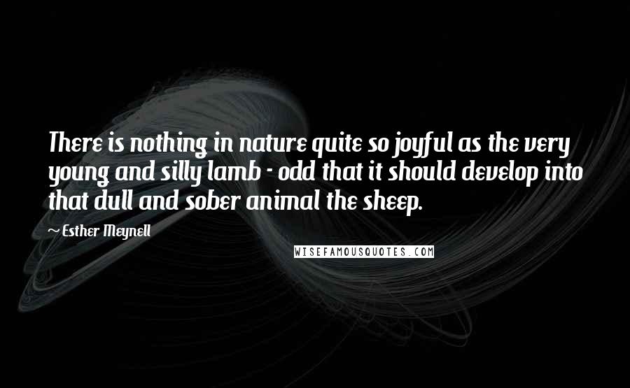 Esther Meynell Quotes: There is nothing in nature quite so joyful as the very young and silly lamb - odd that it should develop into that dull and sober animal the sheep.