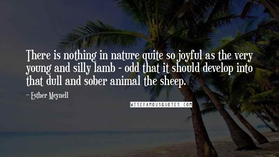 Esther Meynell Quotes: There is nothing in nature quite so joyful as the very young and silly lamb - odd that it should develop into that dull and sober animal the sheep.