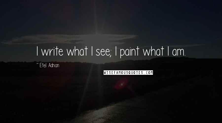 Etel Adnan Quotes: I write what I see; I paint what I am.